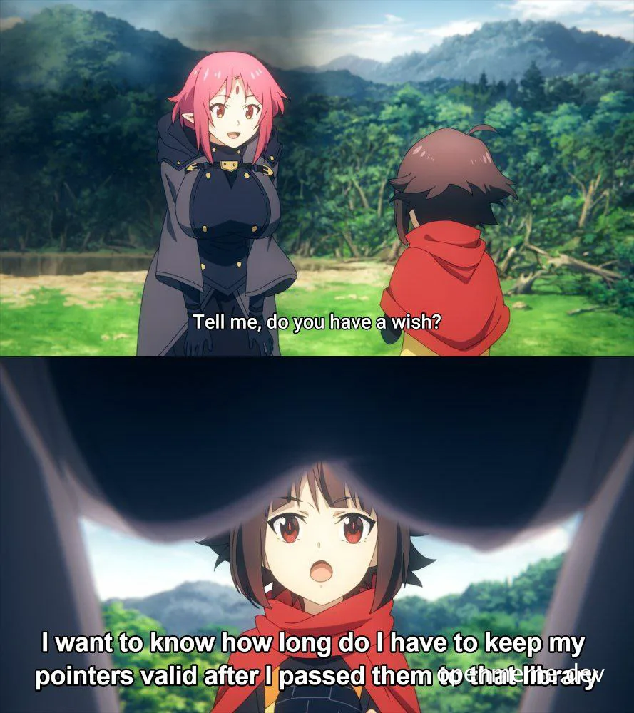 Anime characters discussing pointer validity in programming