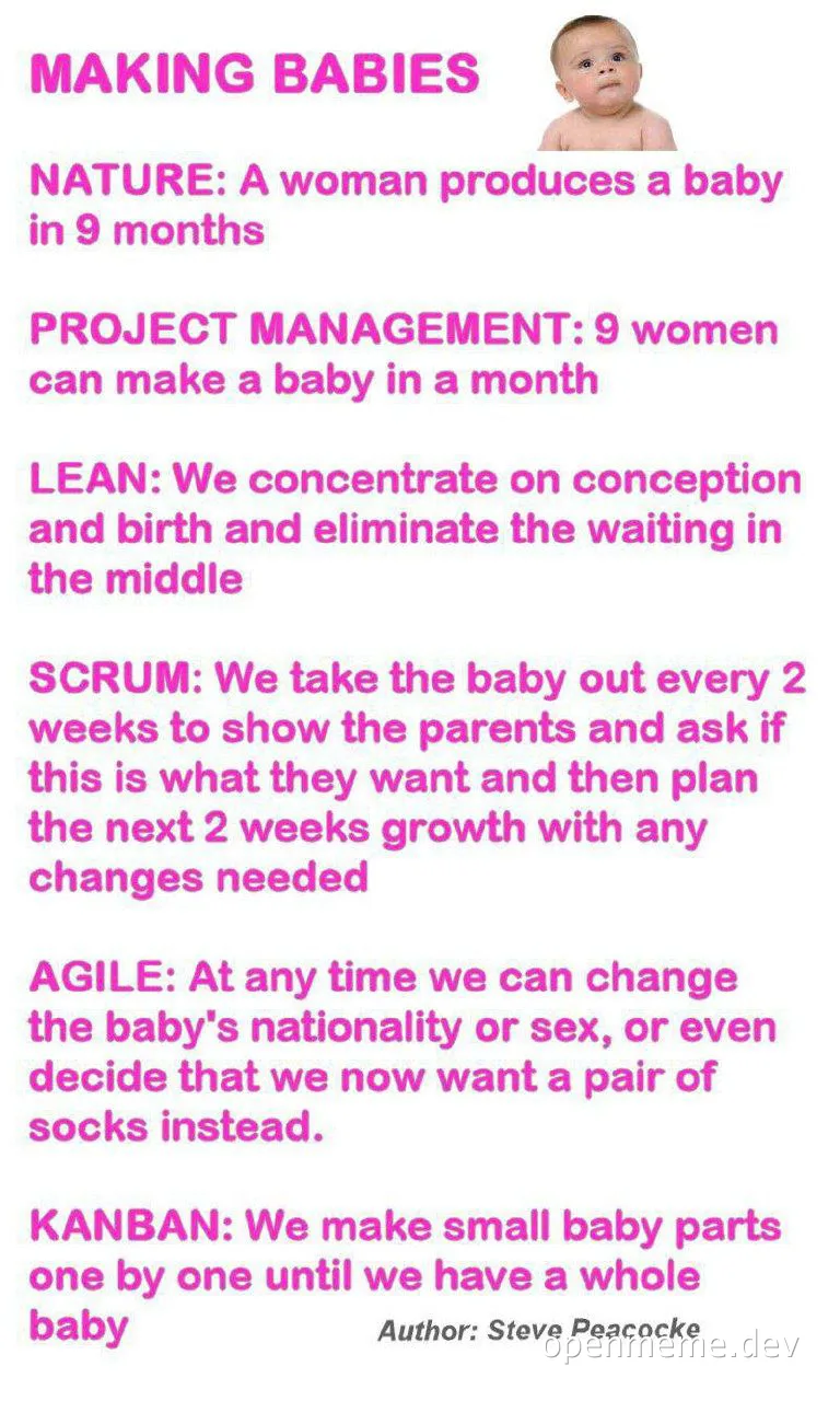 humorous comparison of making babies with project management methodologies