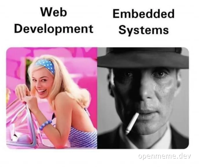 Barbie and Smoky face meme comparing web development and embedded systems