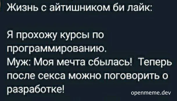 russian developer relationship humor