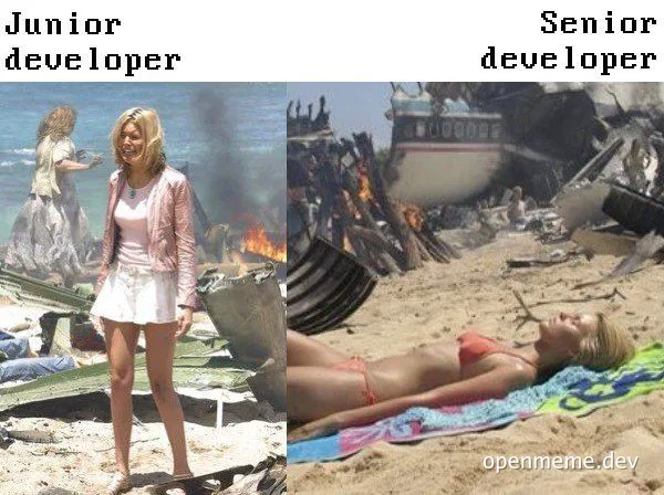 junior vs senior developer meme