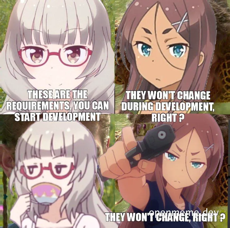 meme about changing requirements during development