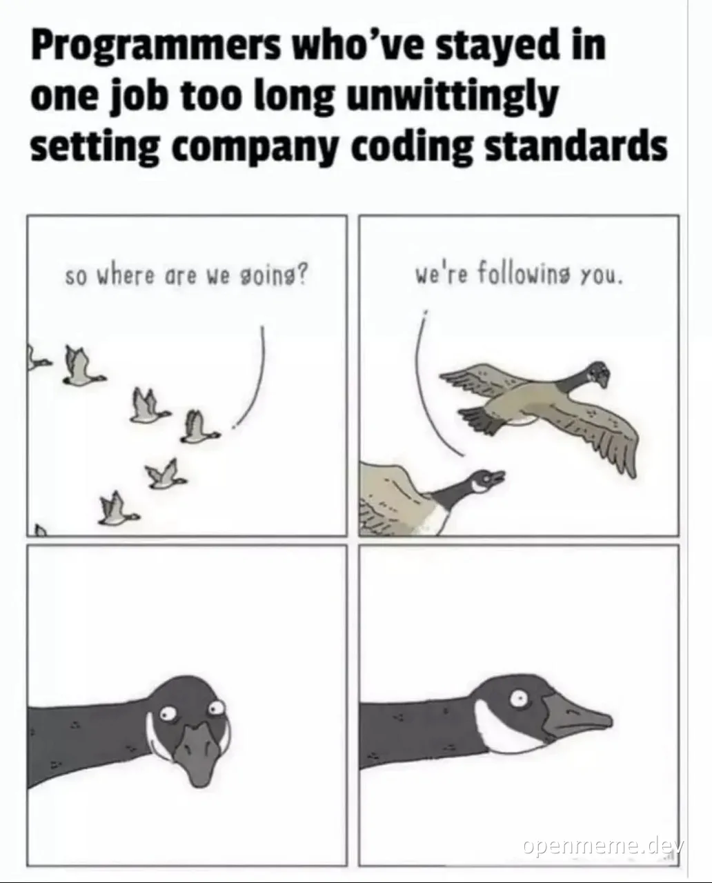 programmers setting company coding standards meme