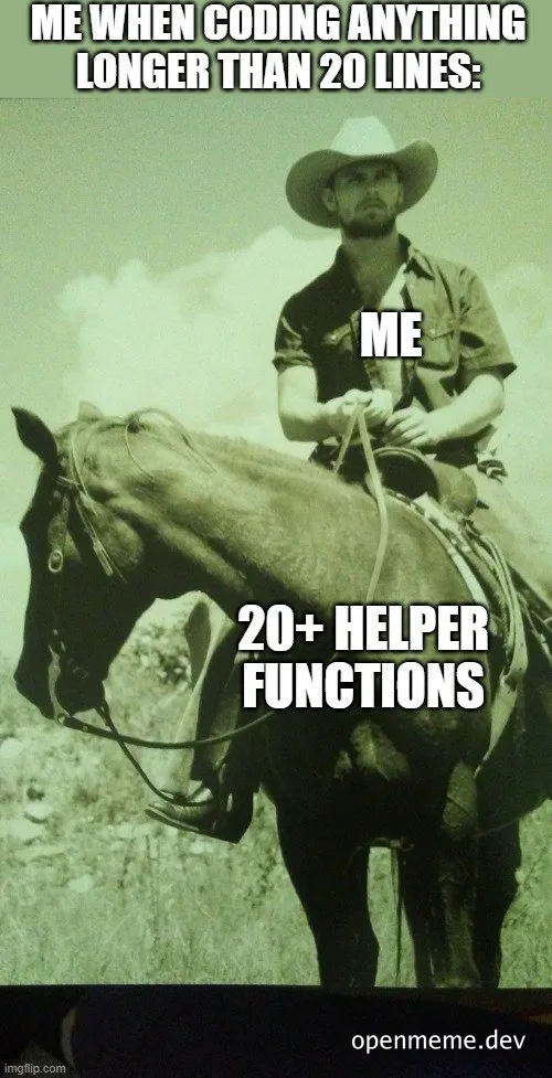 programmer humor with cowboy on horse with text 'ME WHEN CODING ANYTHING LONGER THAN 20 LINES: ME 20+ HELPER FUNCTIONS'