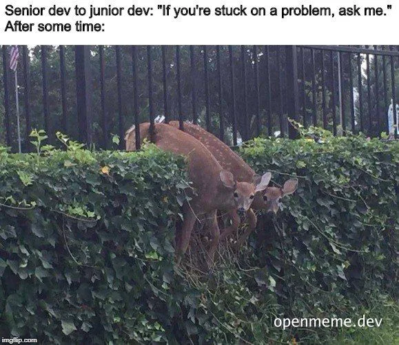 Two deer hiding behind a hedge with a senior dev and junior dev problem-solving joke