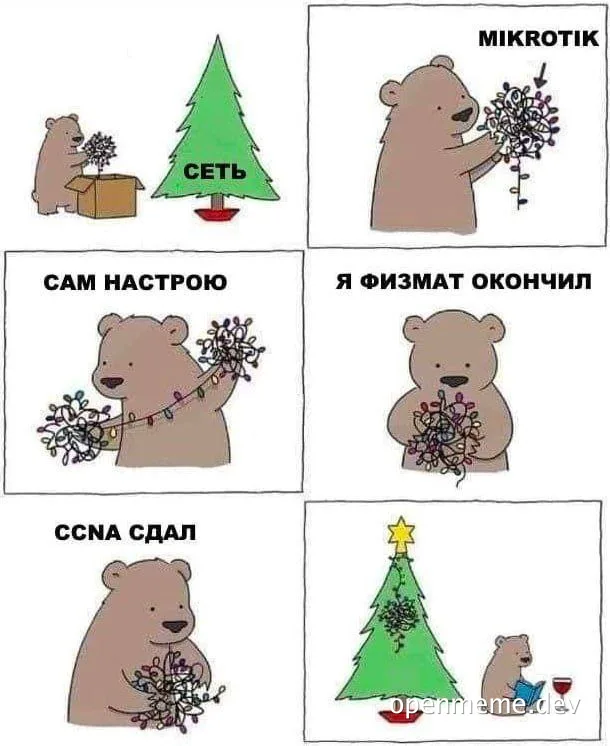 Cartoon bear comic strip: a network engineer unpacks a tangled MikroTik network, boasts about finishing physics-math and