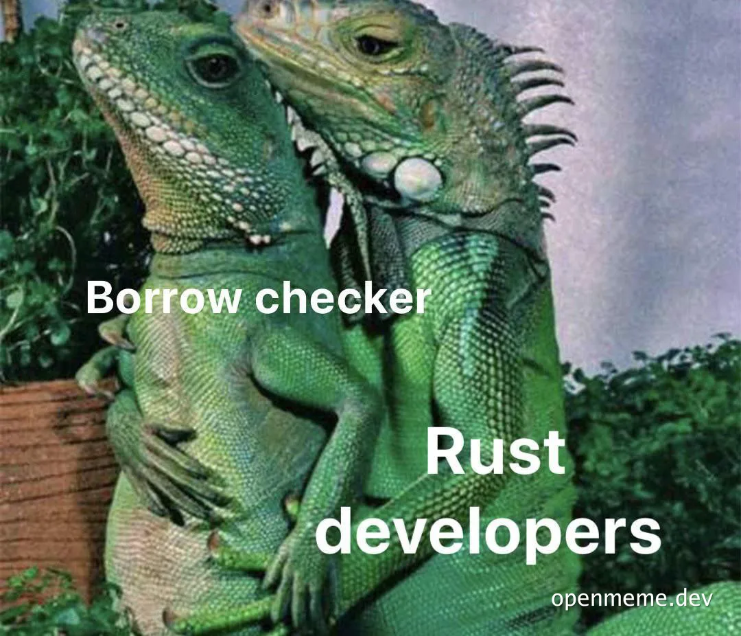 Two green iguanas embracing with text 'Borrow checker' and 'Rust developers'