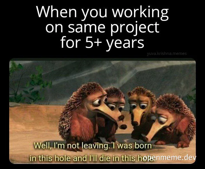 Three hedgehogs looking at each other with a caption about working on the same project for 5+ years