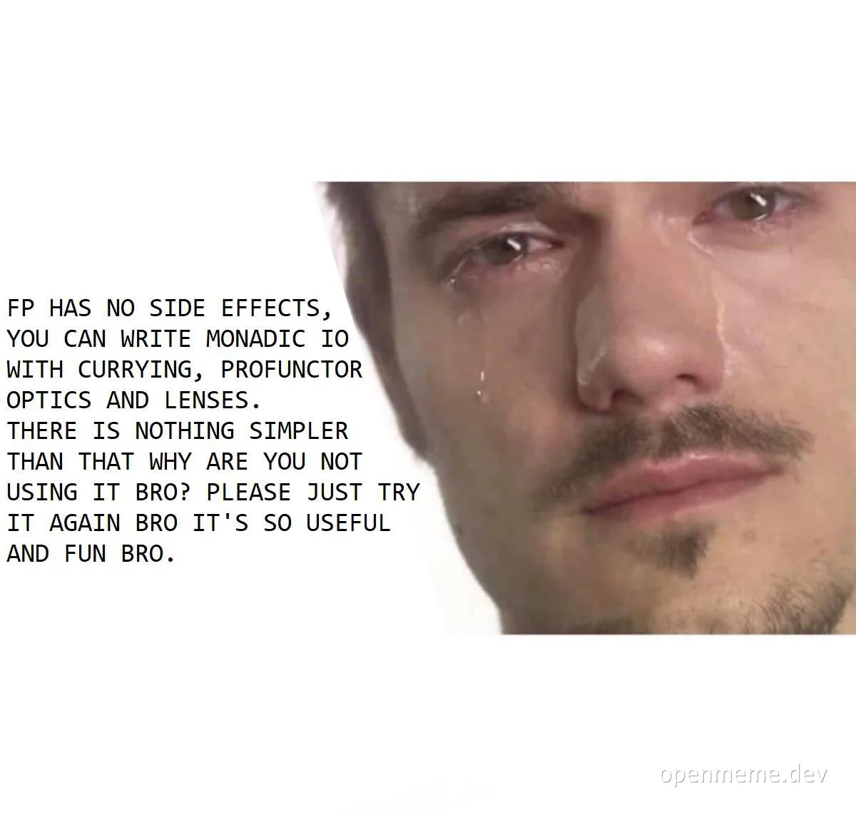 Crying man with text about functional programming