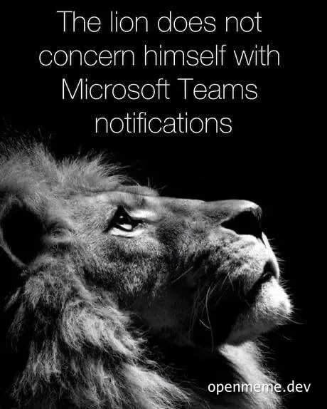 Lion looking away from Microsoft Teams notifications