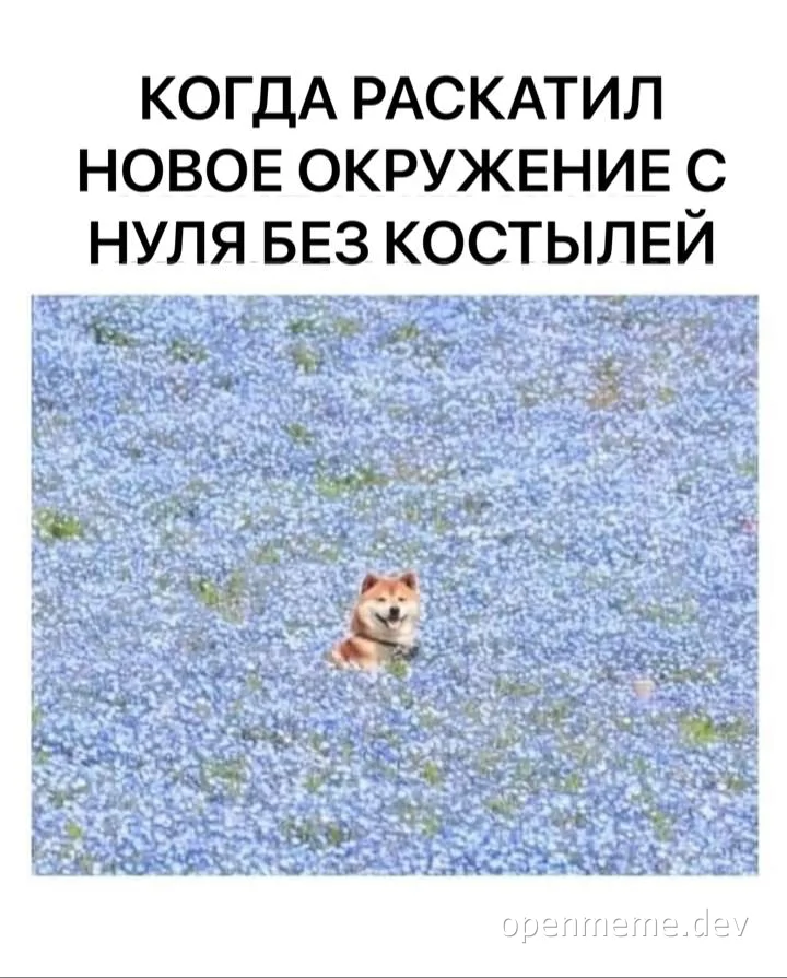 Shiba dog in blue flowers with russian text