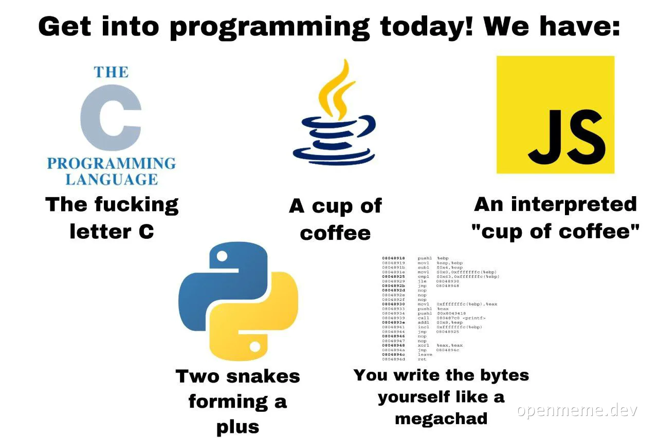humorous comparison of programming languages