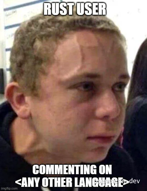 Disapproving face of a man with the text 'RUST USER COMMENTING ON <ANY OTHER LANGUAGE>'