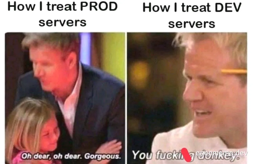 Gordon Ramsay meme comparing treatment of prod and dev servers