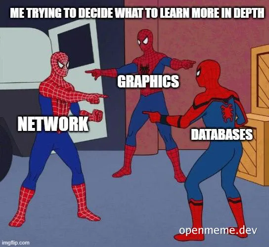 Spider-Man meme: Three Spider-Men pointing at each other labeled Network, Graphics, and Databases with the caption 'Me trying to decide what to learn more in depth'