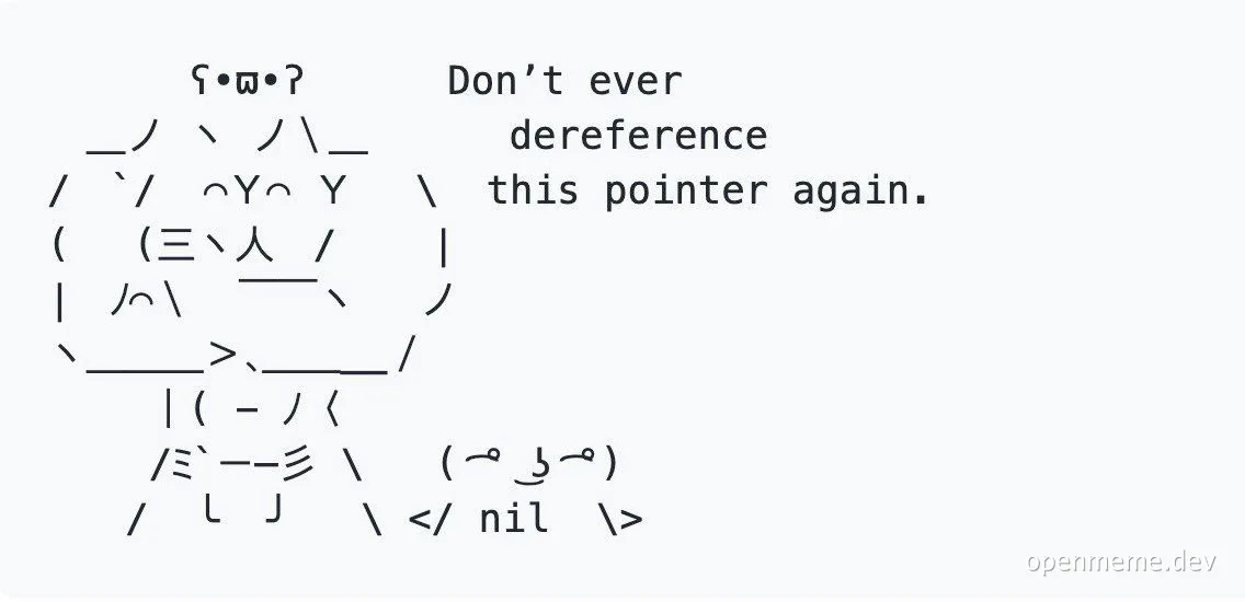 A meme featuring a cat-like creature made of code with the text 'Don't ever dereference this pointer again'