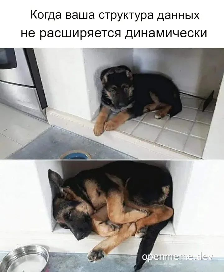 german-shepherd-puppy sleeping in small space