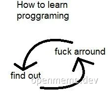 A humorous flowchart on how to learn programming