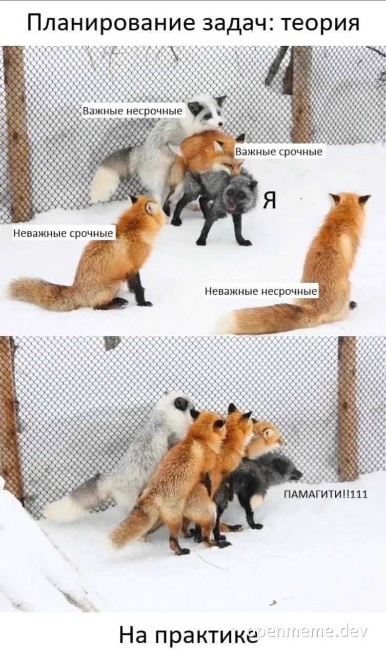 meme about task planning theory vs practice with foxes