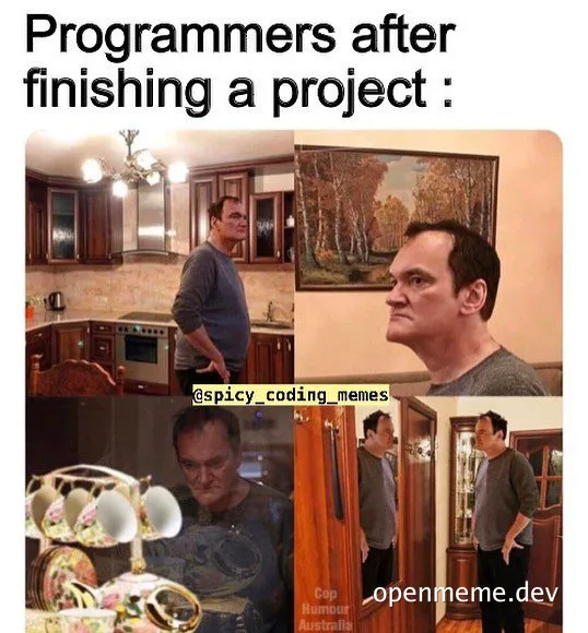 programmers after finishing a project meme