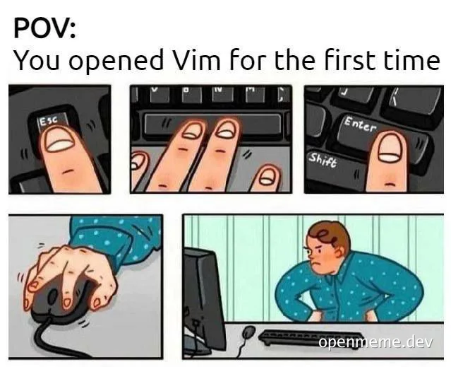 cartoon of a developer confused by vim