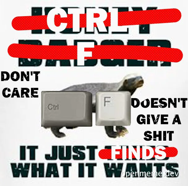 Tortoise meme about ctrl f find function