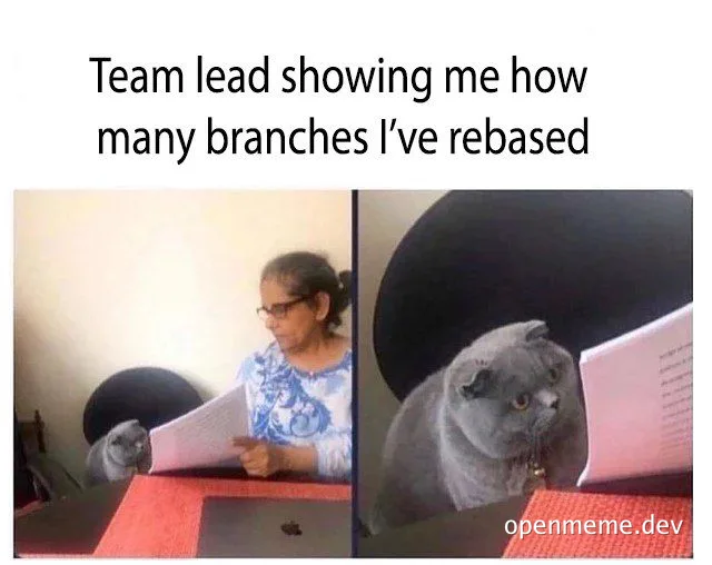 Team lead showing developer many branches they've rebased