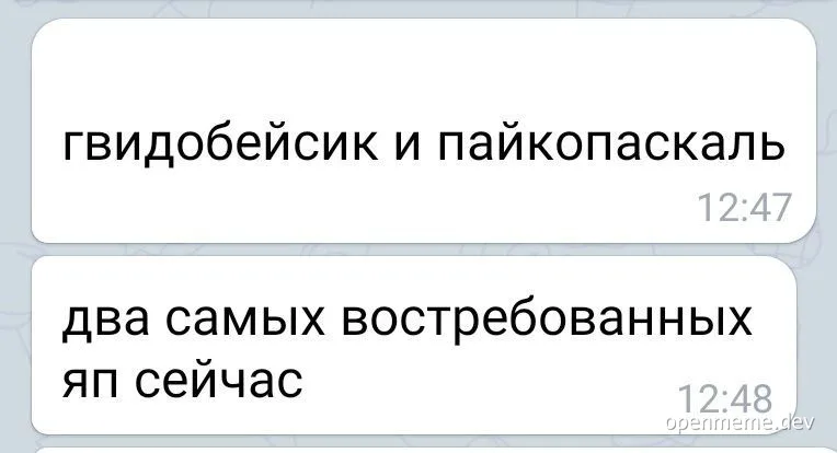 russian text message about programming languages