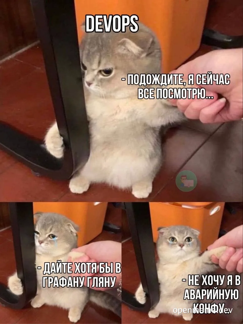 devops cat meme