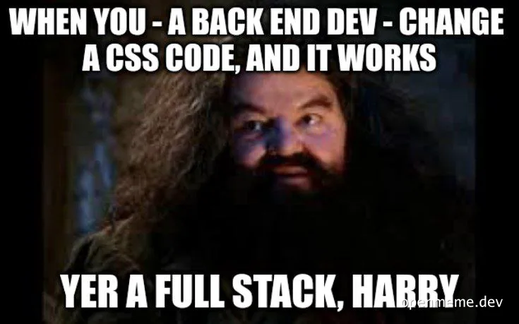 meme of Hagrid from Harry Potter with text 'WHEN YOU - A BACK END DEV - CHANGE A CSS CODE, AND IT WORKS YER A FULL STACK, HARRY'