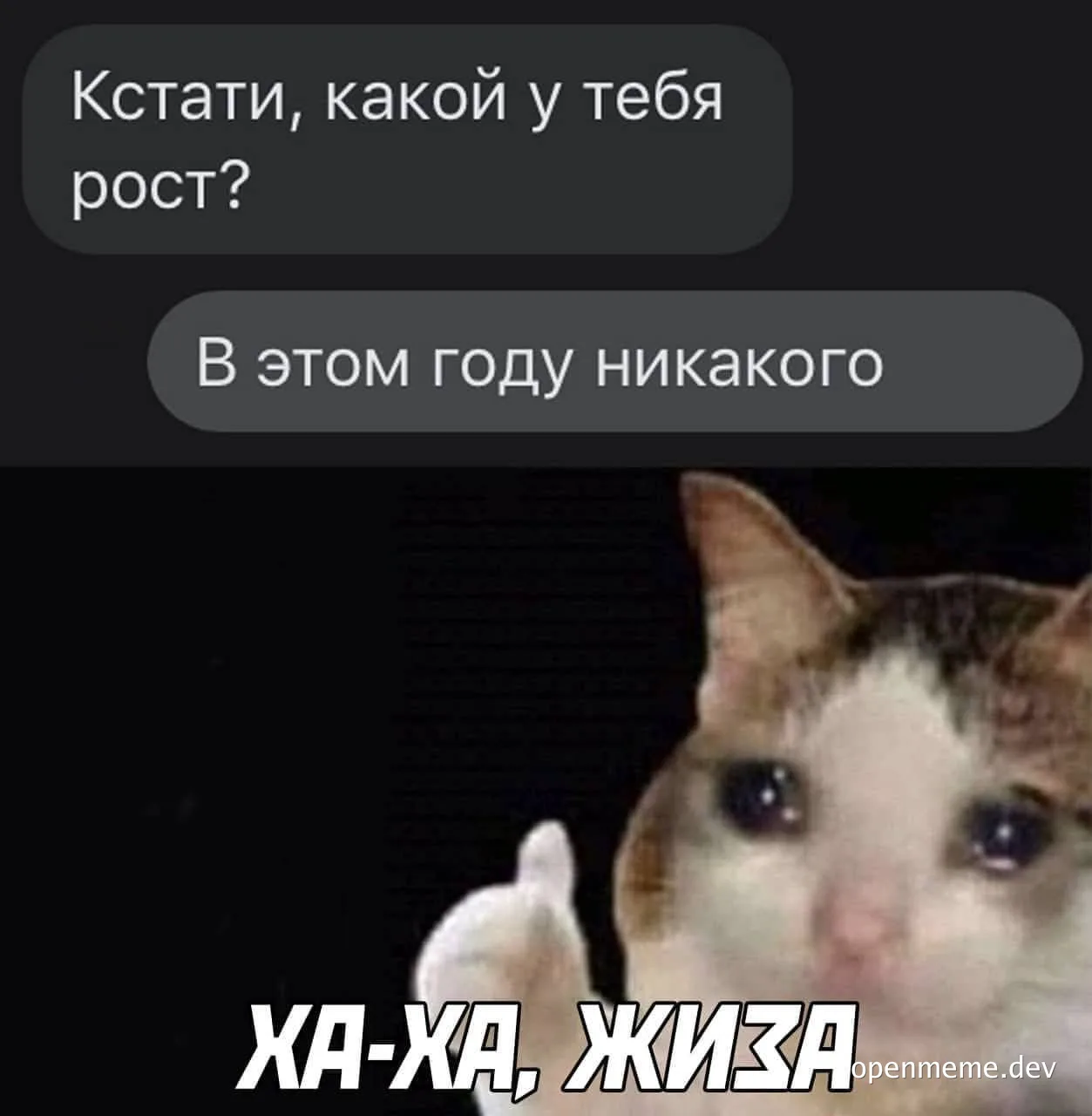 russian cat meme about no growth