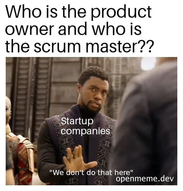 Startup companies not following scrum roles