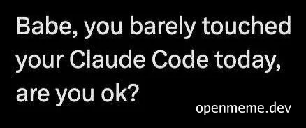 Concerned partner questions developer's coding activity with Claude