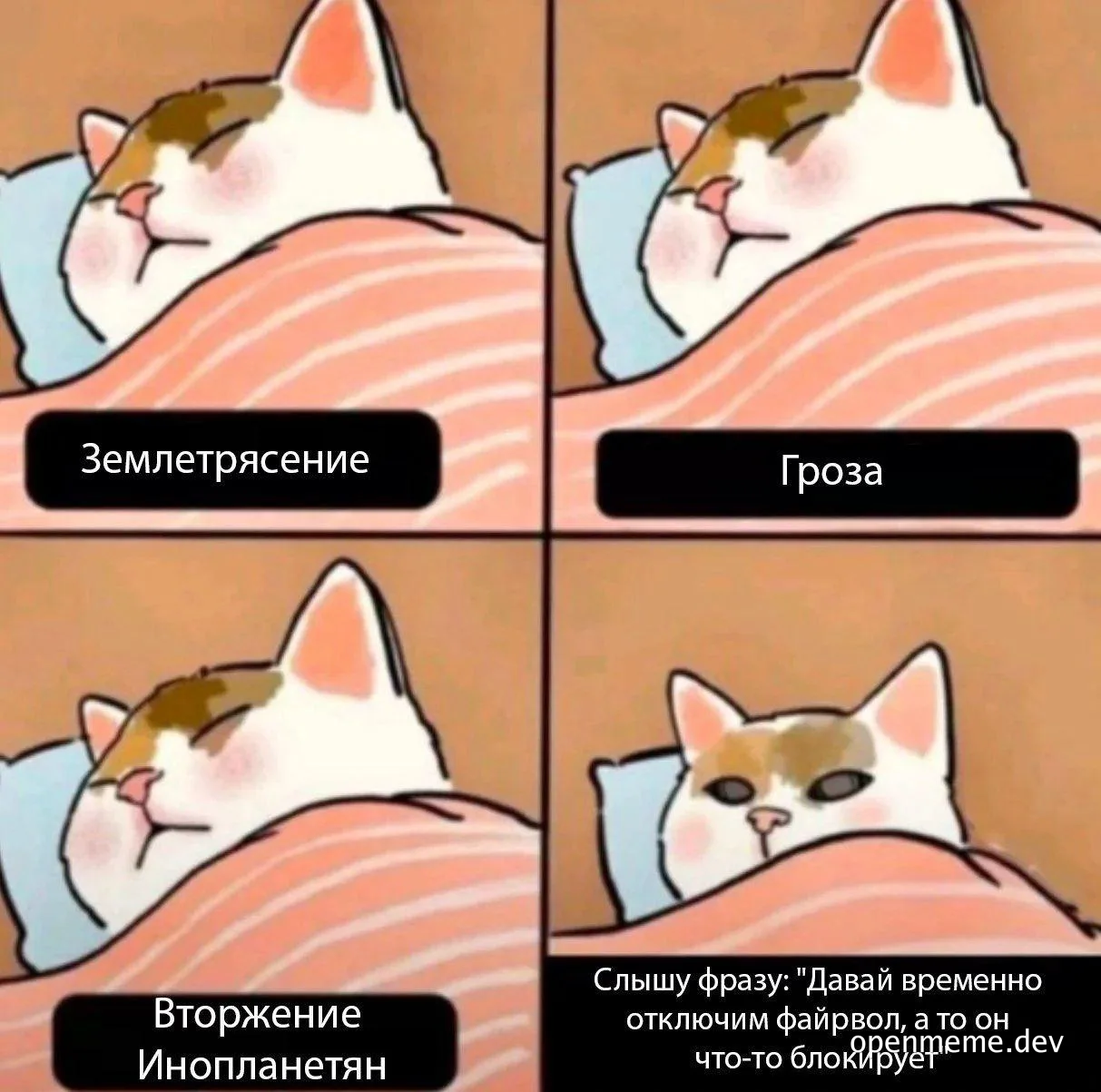 cat sleeping through natural disasters but not when asked to disable firewall
