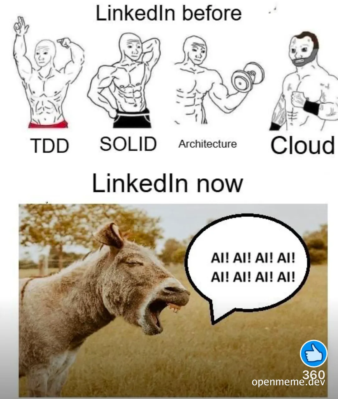 Meme comparing 'LinkedIn before' (muscular figures labeled TDD, SOLID, Architecture, Cloud) to 'LinkedIn now' (a hyena screaming 'AI! AI! AI!' with 360 likes).