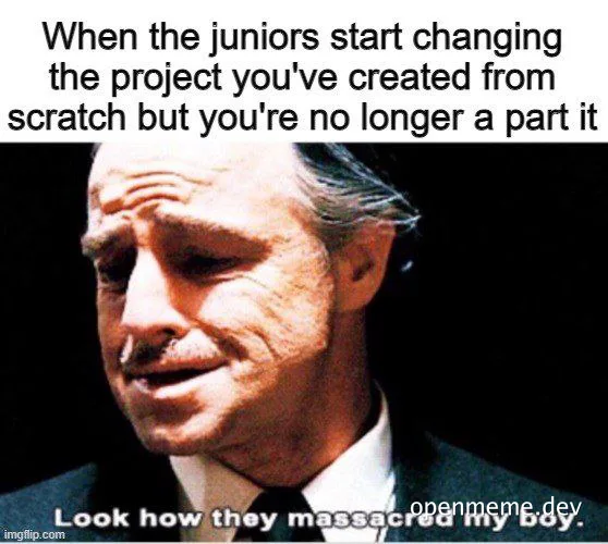 Sad developer looking at junior changes to their project