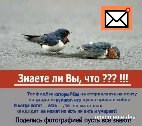 Two birds, one lying on the ground, with a humorous text about job candidate feedback