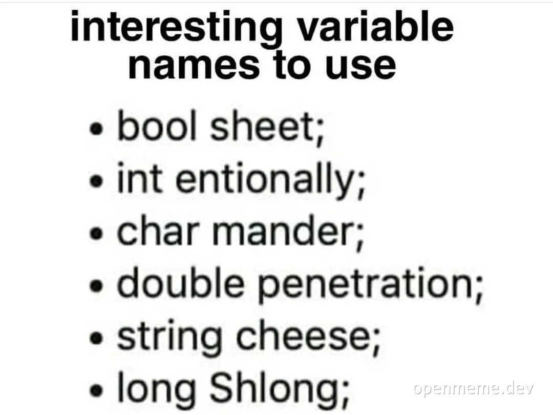 humorous programming variable names