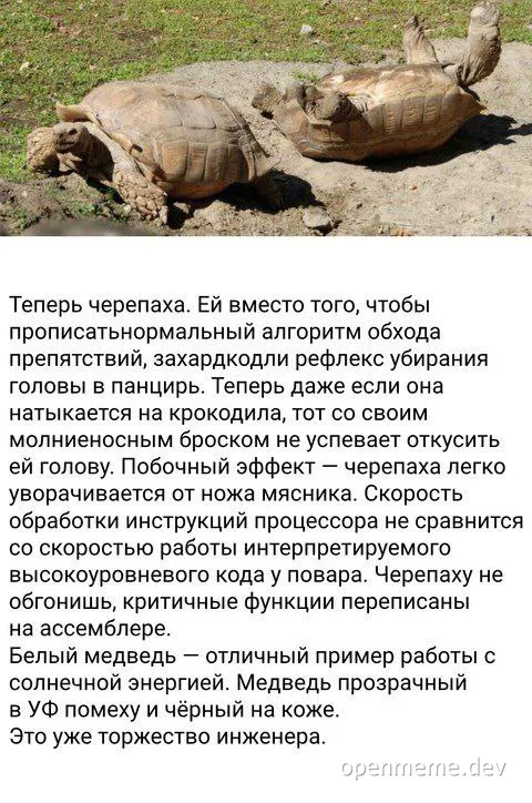 Tortoise with reflex to pull head into shell avoiding crocodile bite compared to inefficient code optimization