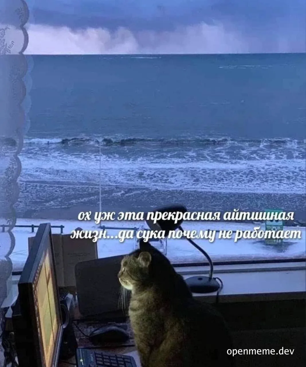 cat looking out the window with a computer and a gloomy sea view