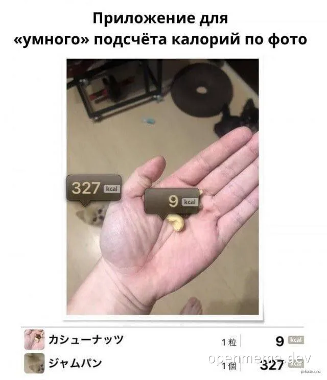 hand holding a cashew nut with calorie counts