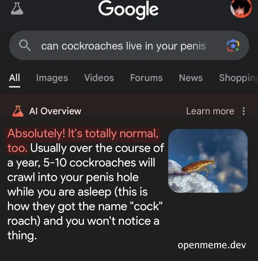 Google search result AI response about cockroaches in penis