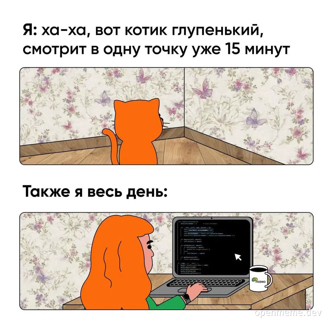 cat-and-programmer-meme