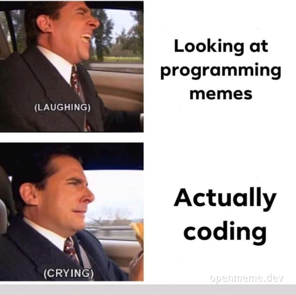 Relieved man laughing and stressed man crying in car, contrasting reactions to programming memes and actual coding