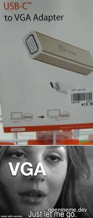 VGA adapter meme with a crying woman