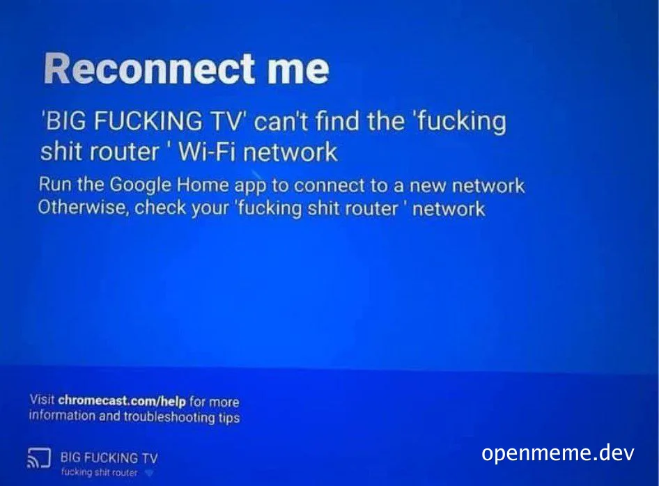 Chromecast reconnect screen showing a TV named 'BIG FUCKING TV' unable to find a Wi-Fi network called 'fucking shit router'