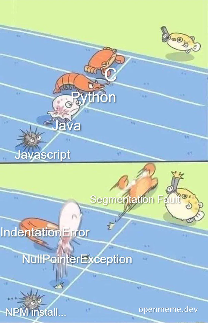 funny meme about programming languages and errors