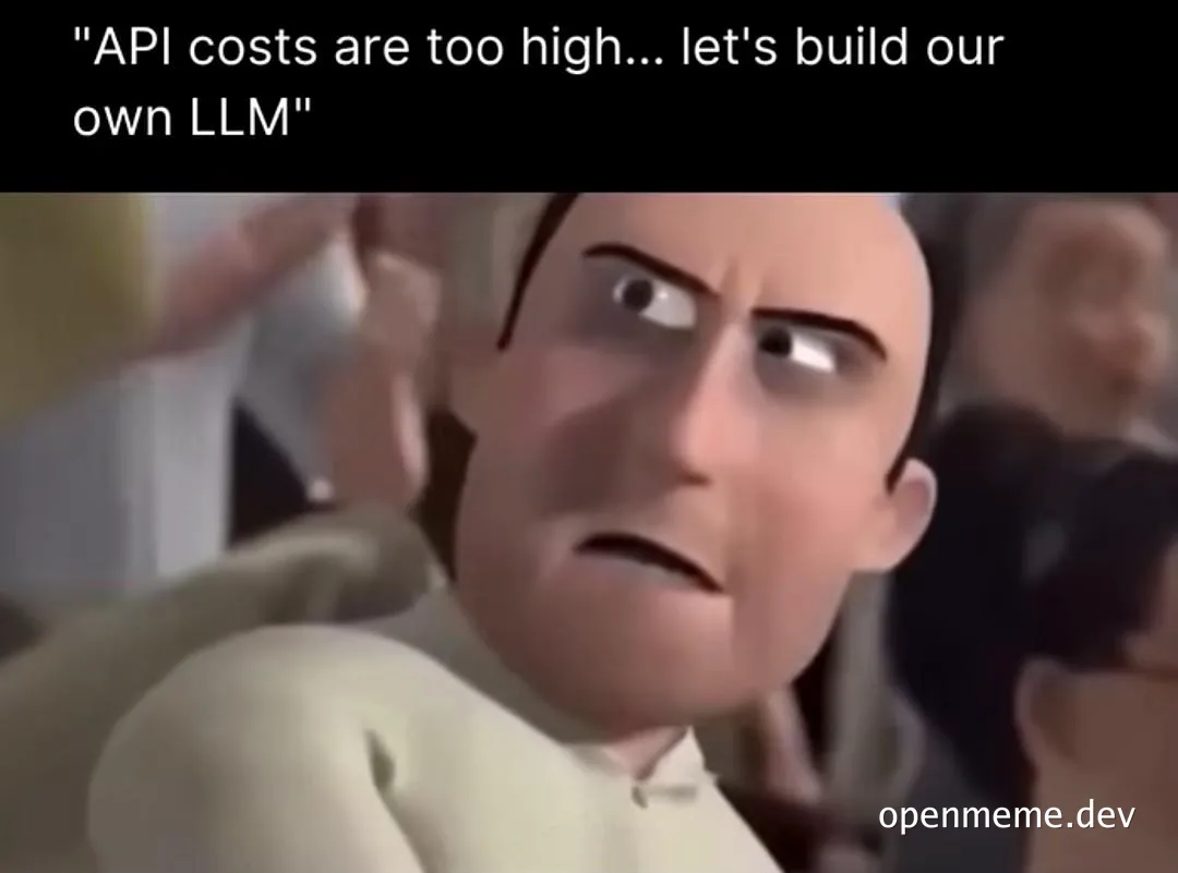 Shocked character meme with text: API costs are too high... let's build our own LLM