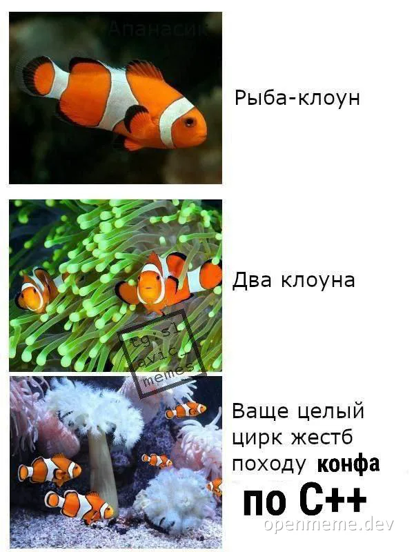 clownfish meme about C++ conference