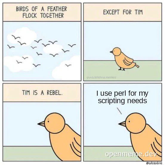 birds-of-a-feather-flock-together-except-for-tim-who-uses-perl